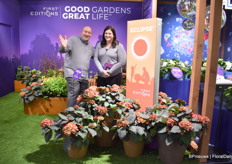 Alec Charlais and Layci Gragnani of First Editions next to eclipse hydrangea, a new variety 2024. It has dark leaves that stay dark.